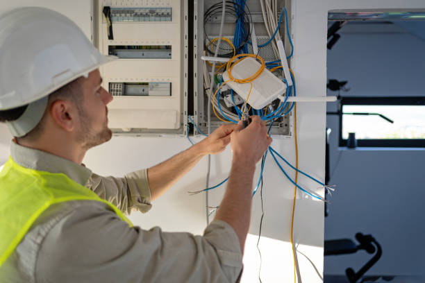 Best Ceiling Fan Installation Electrician  in Independence, MN